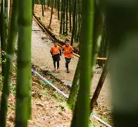 关于莫斯科斯巴达对战都灵，赛果悬念重重的信息
